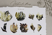 SUMMER MEMORY Watercolor set, a Seasonal Illustration by Anastezia Luneva (Thumbnail 3 of 9)