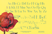 Briglo Shade Elegant Thin Serif, a Serif Font by timelesstype.co (Thumbnail 13 of 15)