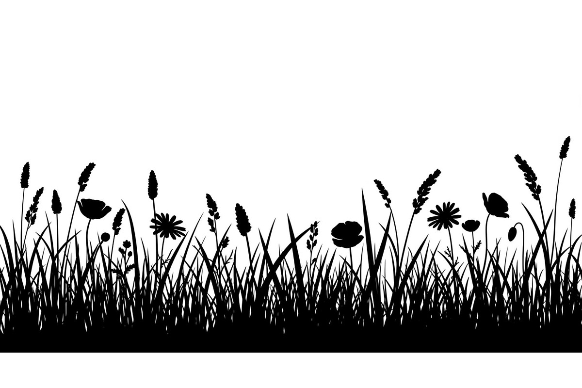 Floral Grass Border Silhouette Bundl, an Illustration by Amazin_art (Photo 21 of 51)