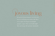 Lady Clementine wedding script fonts, a Serif Font by Angele Kamp (Thumbnail 6 of 10)