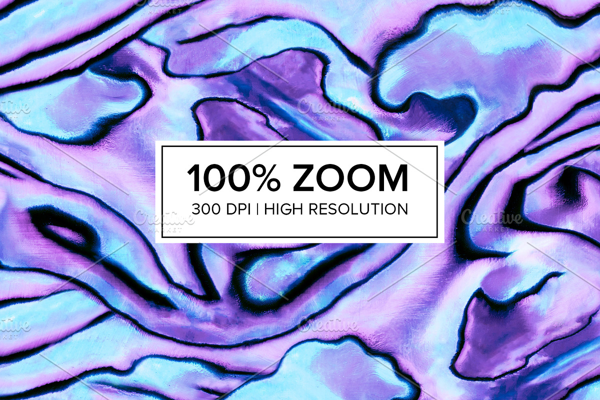 Pastel Shell Seamless Pattern, a Texture Graphic by PATTERNBASE (Photo 2 of 8)