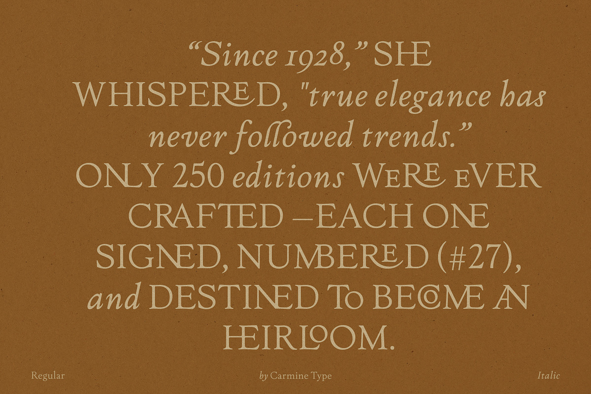 The Ashcombe Hall Oldstyle Serif, a Serif Font by CarmineType (Photo 12 of 24)