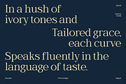 Wornella – Luxury Modern Serif, a Serif Font by Casloop Studio (Thumbnail 6 of 10)