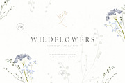 Wildflowers, an Illustration by Blossom (Thumbnail 1 of 9)