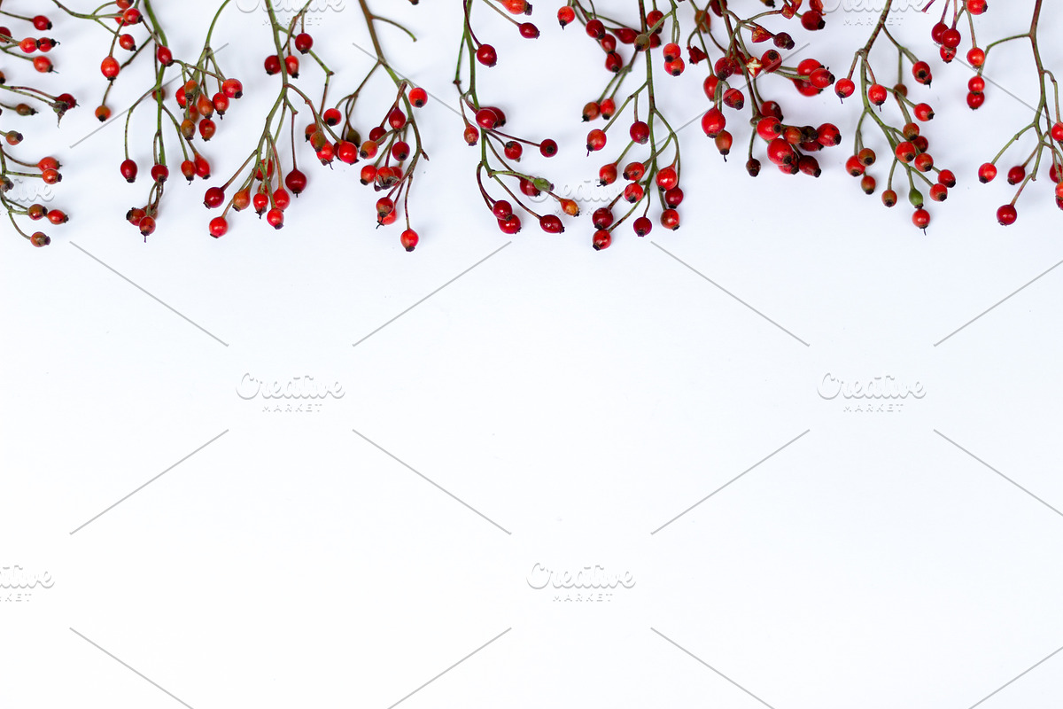 Christmas Berry styled stock images, a Holiday Photo by Chalking Up Stock (Photo 6 of 13)