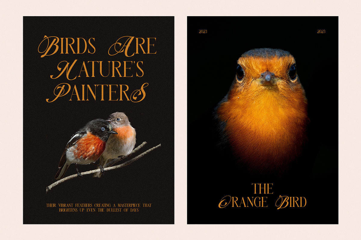 Never Things Elegant & Premium Serif, a Serif Font by Graphicxell (Photo 9 of 10)