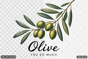Vintage Fruit Sublimation Bundle, an Illustration by Actual Pixel (Thumbnail 10 of 11)