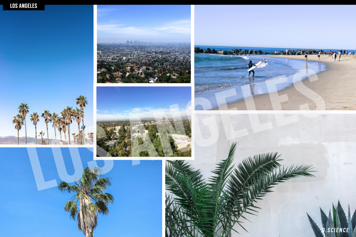 Los Angeles Urban Photo Bundle, a Business Photo by Template Monkey @dscience (Photo 11 of 16)