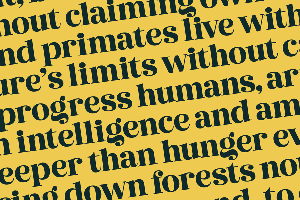 Metguy Behope Bold Serif Display, a Serif Font by timelesstype.co (Photo 12 of 20)