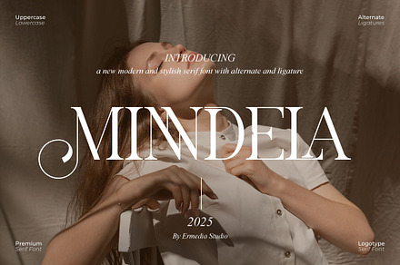 Minndela || Modern Serif Font