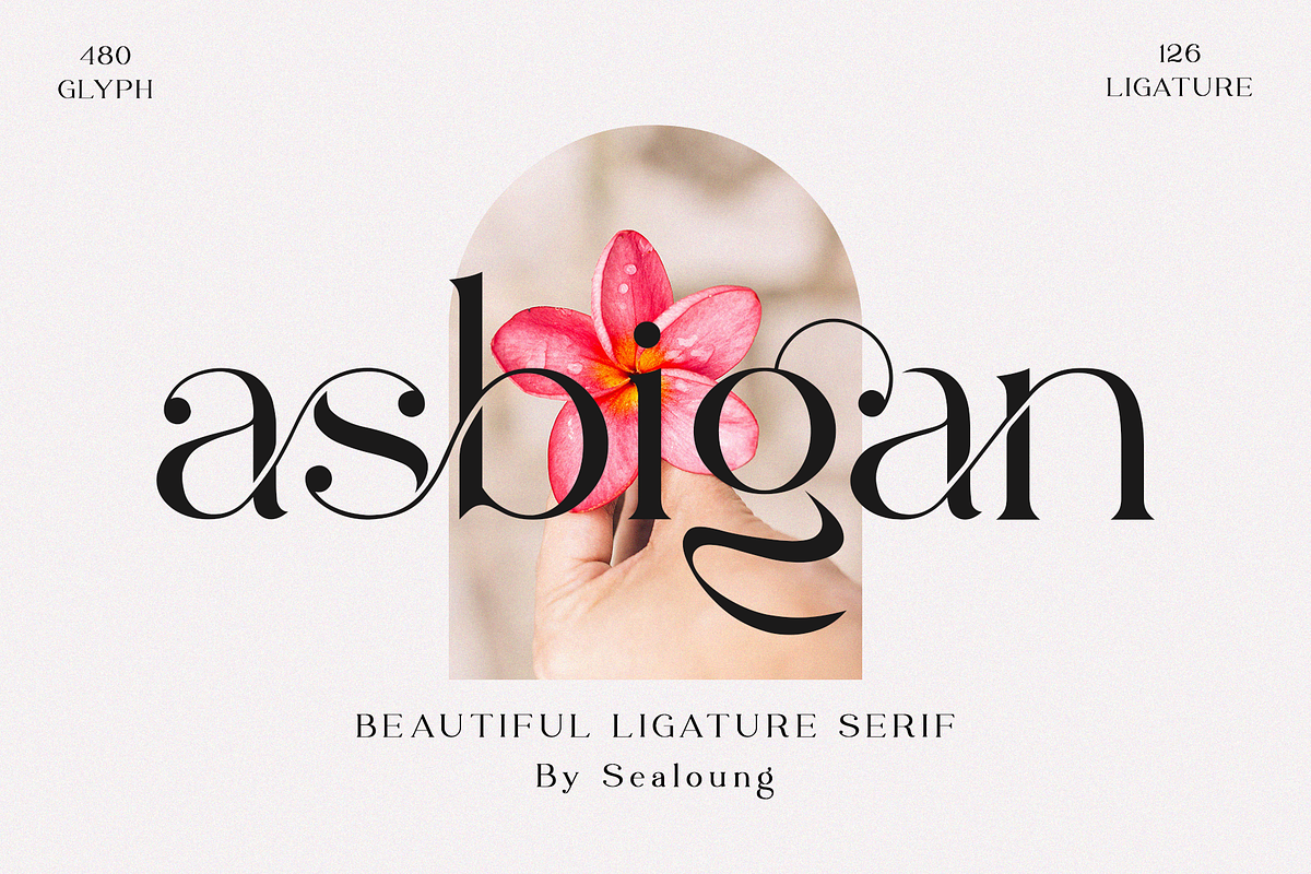 Asbigan, a Serif Font by Sealoung (Photo 1 of 21)