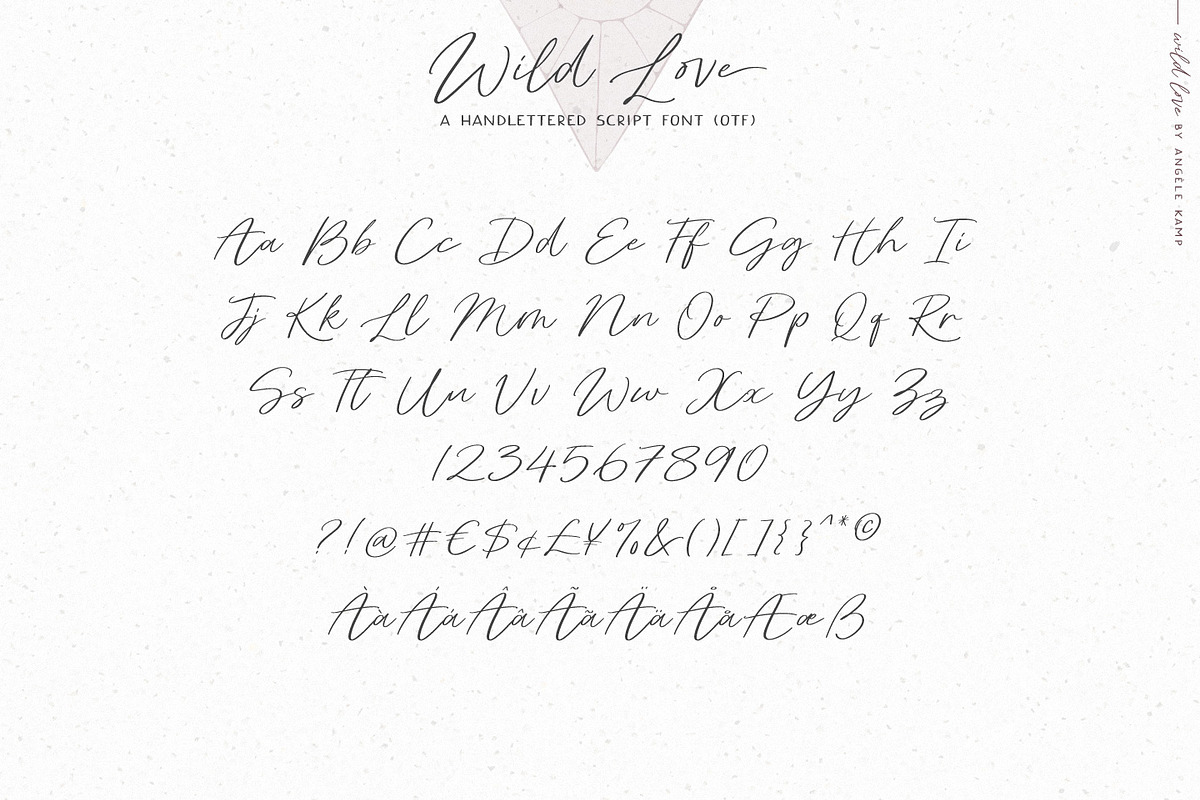 Script font Wild Love logos, a Script Font by Angele Kamp (Photo 13 of 15)