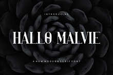 Hallo Malvie - Font