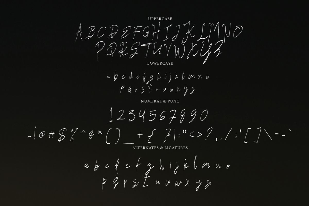 Trimeira Signature, a Handwritten Font by Eltypesstudio (Photo 5 of 10)