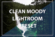 Clean Moody Lightroom Preset, an Action Add-On by DirtyGrid (Thumbnail 1 of 4)