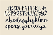 Havel Whie Script Font, a Script Font by Berdansabersama (Thumbnail 2 of 9)