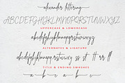 ALEXANDER LETTERING, a Script Font by AMINMARIO (Thumbnail 9 of 10)
