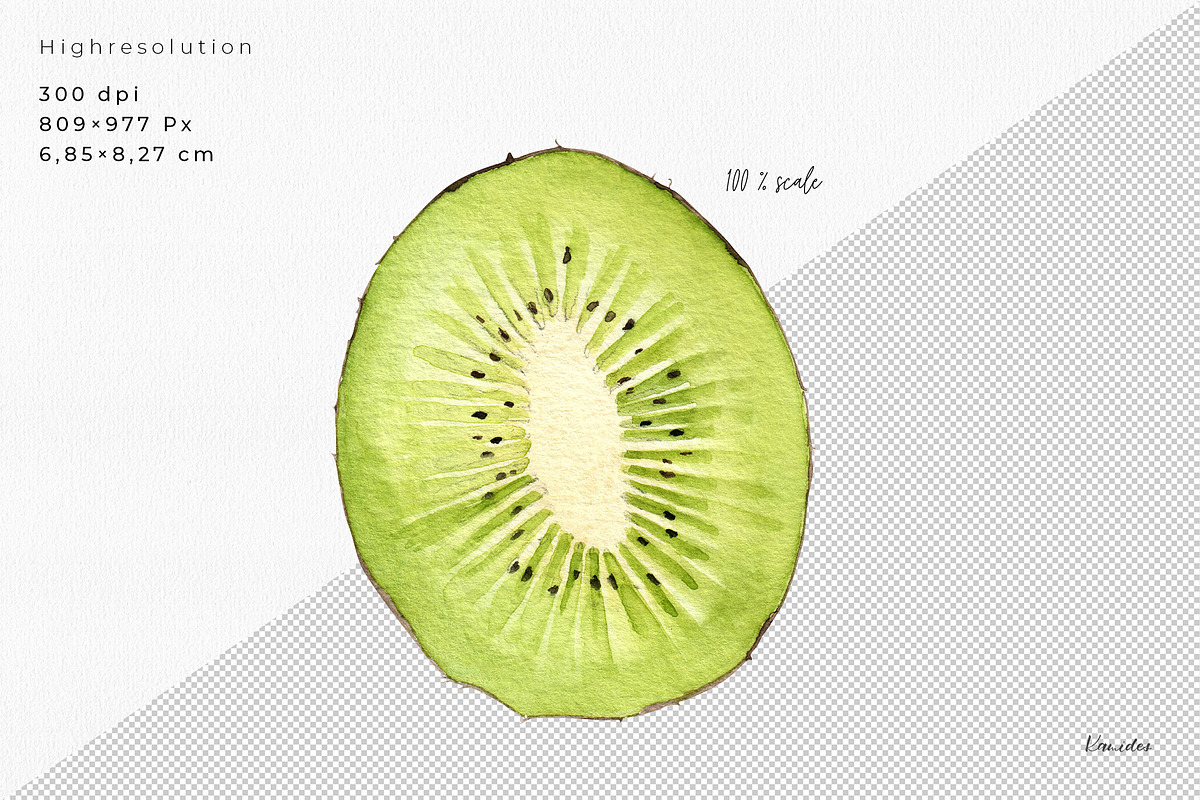 Watercolor KIWI Fruit Clipart PNGs, an Illustration by Kamides (Photo 3 of 4)