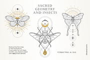 Skakralny geometry and beetles, an Illustration by Siriliadka Dreams (Thumbnail 2 of 10)