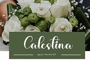 Baby Boy, a Handwritten Font by FreshTypeINK (Thumbnail 5 of 8)