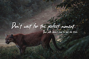 Strange Weather - Adventure font, a Handwritten Font by HypeWorksCo (Thumbnail 4 of 15)