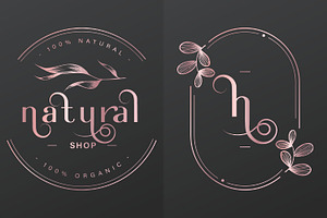 Glassier Fancy Logotype Font