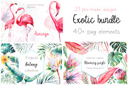 Exotic bundle, an Illustration by Eisfrei (Thumbnail 1 of 3)