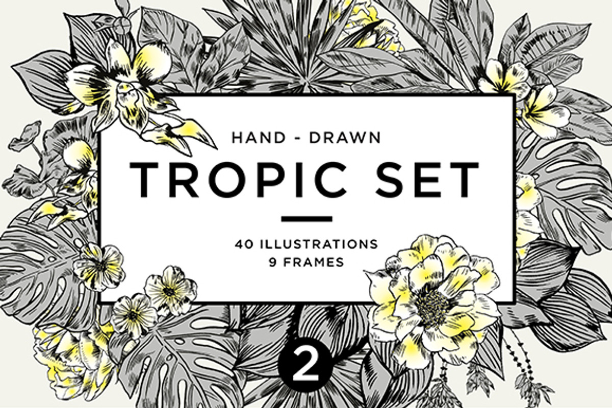 TROPIC set 2, a Decorative Illustration by Tanya Akhmett (Photo 1 of 10)