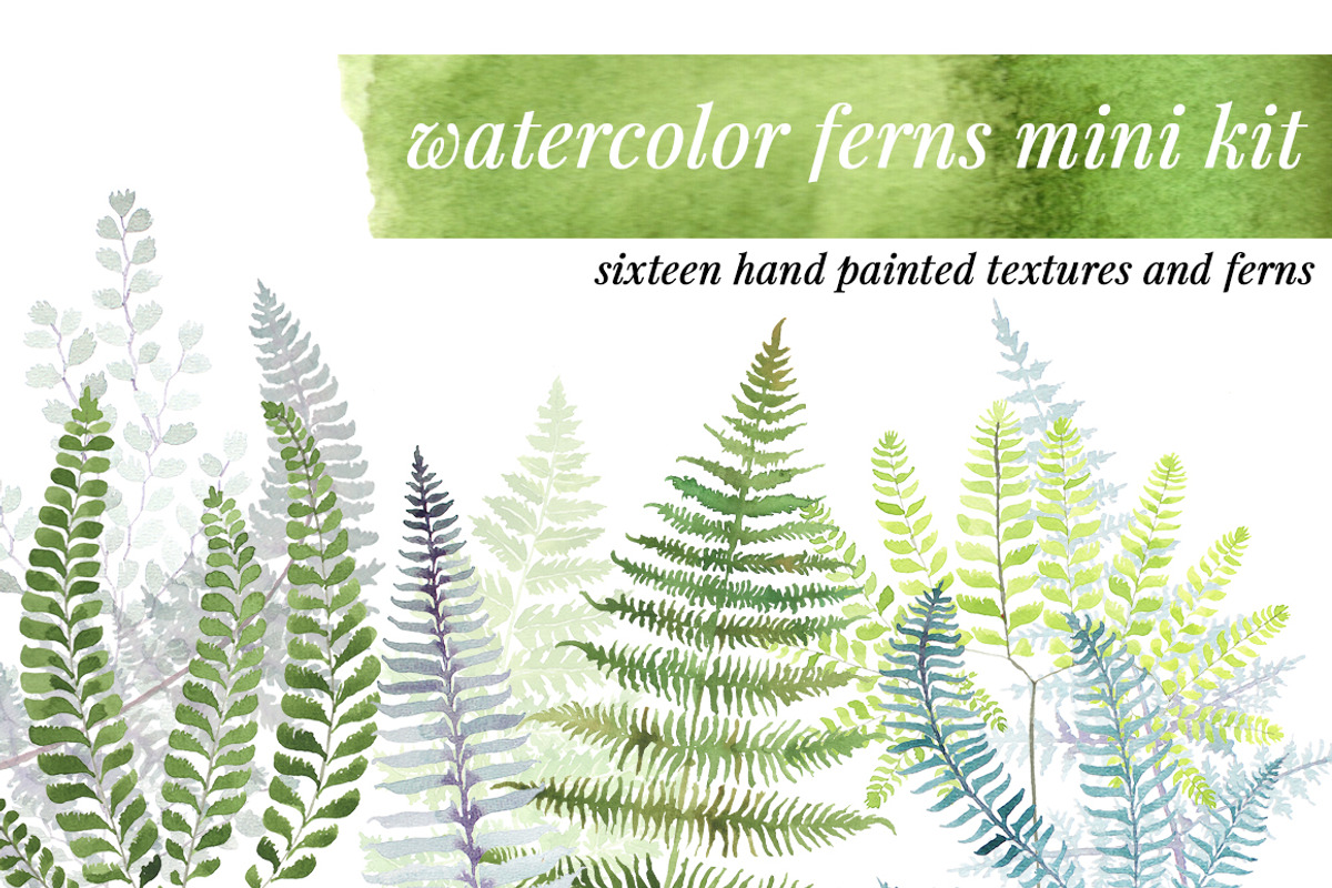 Watercolor Ferns Mini Kit, a Texture Illustration by Instinct Design Co (Photo 1 of 2)