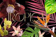 Wedding Tropical flower bundle, an Illustration by NNclipart (Thumbnail 1 of 9)