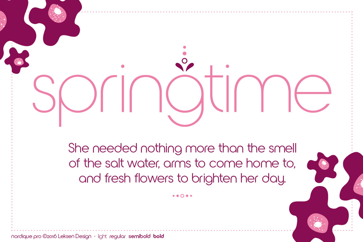 Nordique Pro Collection, a Sans Serif Font by Leksen Design (Photo 6 of 9)