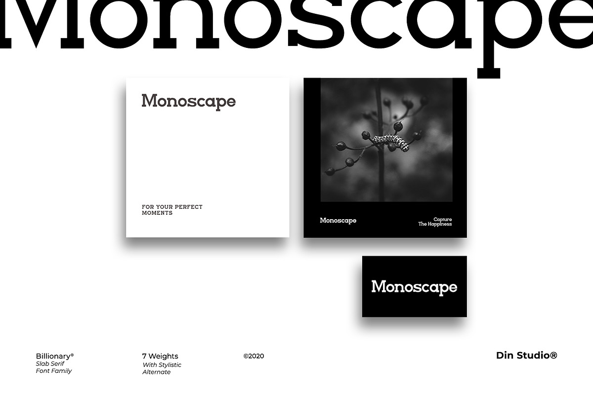 Billionary, a Slab Serif Font by din-studio.com (Photo 2 of 11)