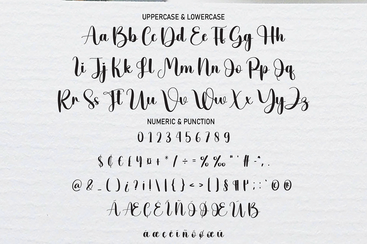 Photography | Script Font, a Script Font by Scratchones (Photo 3 of 8)