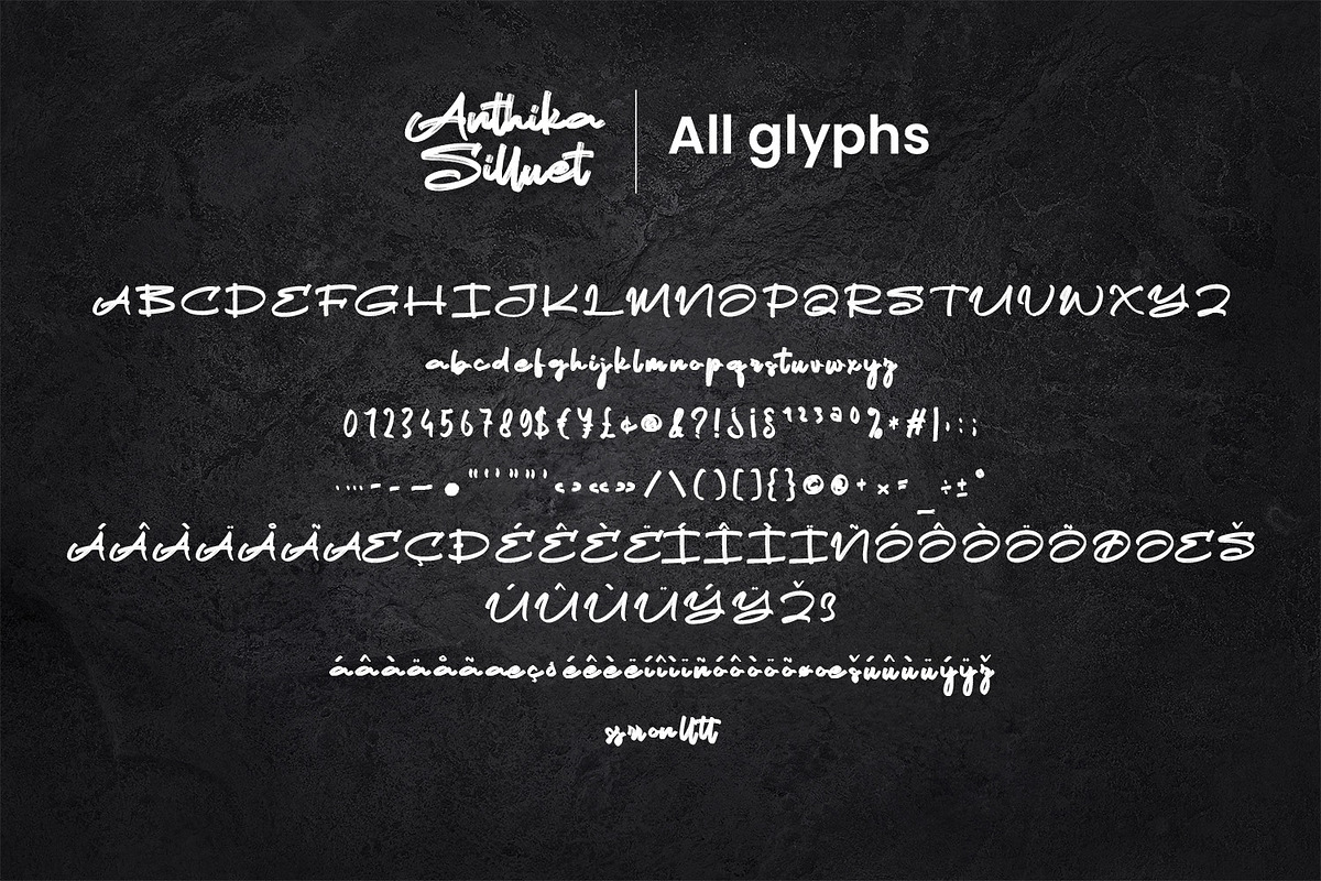 Anthika Silluet – Brush Script Font, a Handwritten Font by Variatype (Photo 8 of 8)