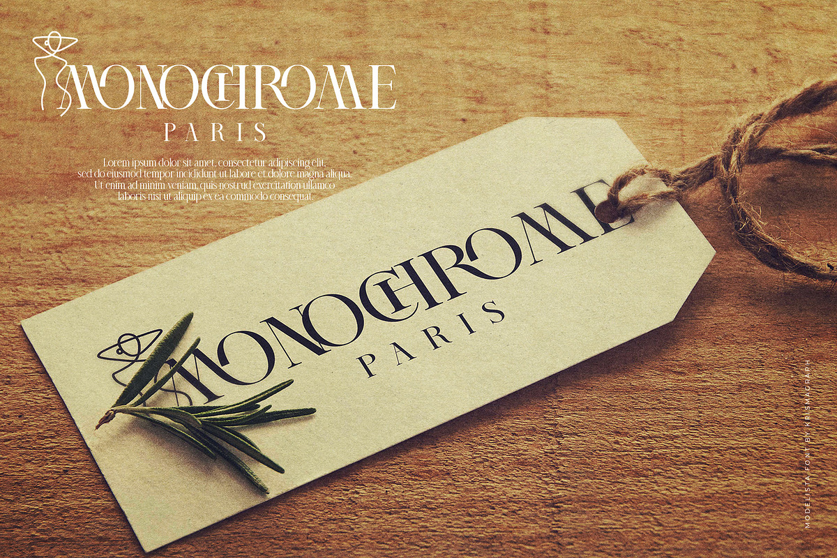 Modelista | Ligature Serif Family, a Serif Font by Krismagraph (Photo 16 of 20)