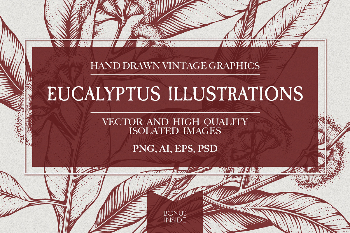 Eucalyptus Illustrations & Extras, an Illustration by Valeryia Aranovich (Photo 1 of 6)