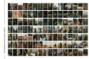 Forest Stock Photos | Moody Woodland, a Nature Photo by Tale.Haus (Thumbnail 15 of 20)