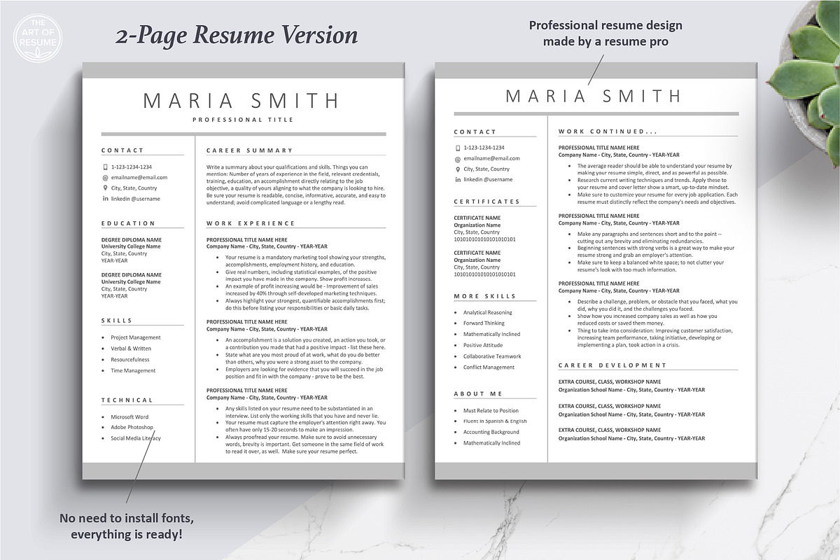 Executive Resume CV Template Formats, a Resume Template by The Art of Resume (Photo 4 of 8)