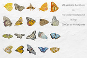 Butterfly watercolor set, a Decorative Illustration by Big Bundles Shop (Thumbnail 3 of 5)