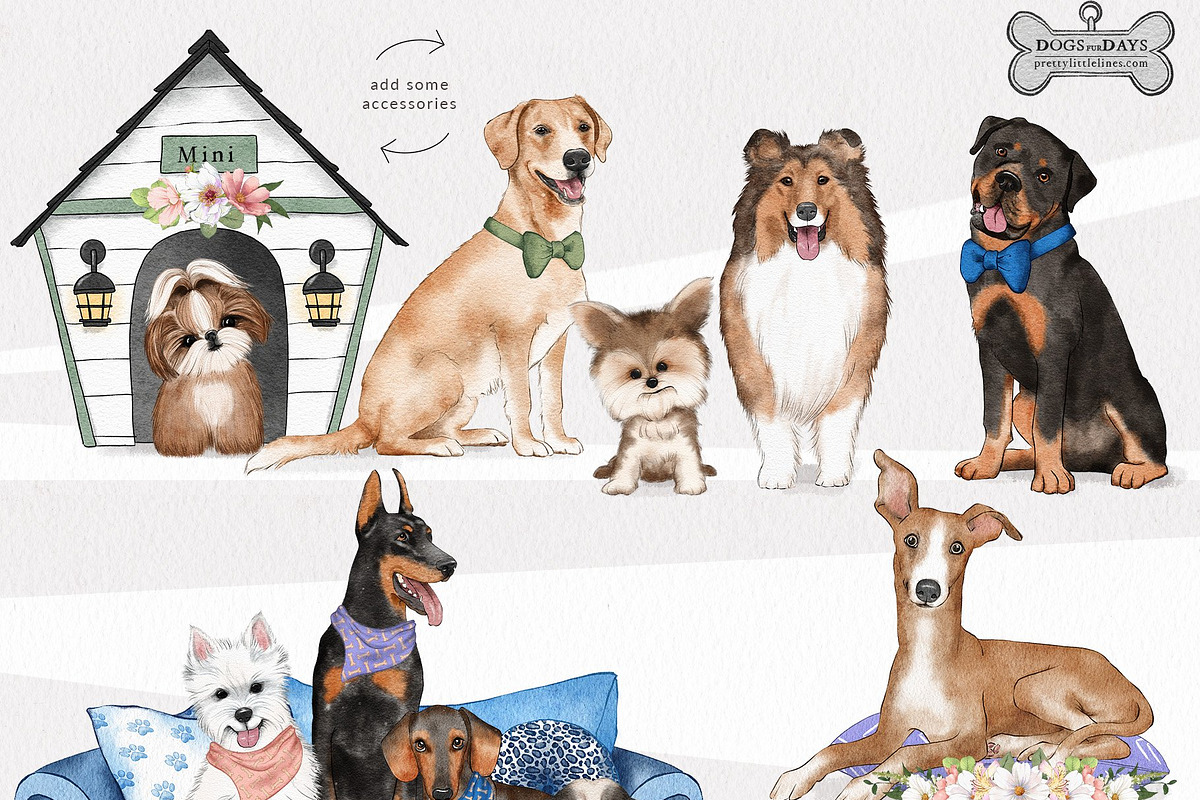 Pet Illustrations Patterns & Borders, a Graphic by Pretty Little Lines (Photo 5 of 29)