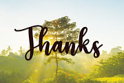 Paradise | Script Font, a Script Font by Scratchones (Thumbnail 4 of 8)