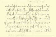 The Fantastic signature, a Script Font by Sulthan Studio (Thumbnail 10 of 12)