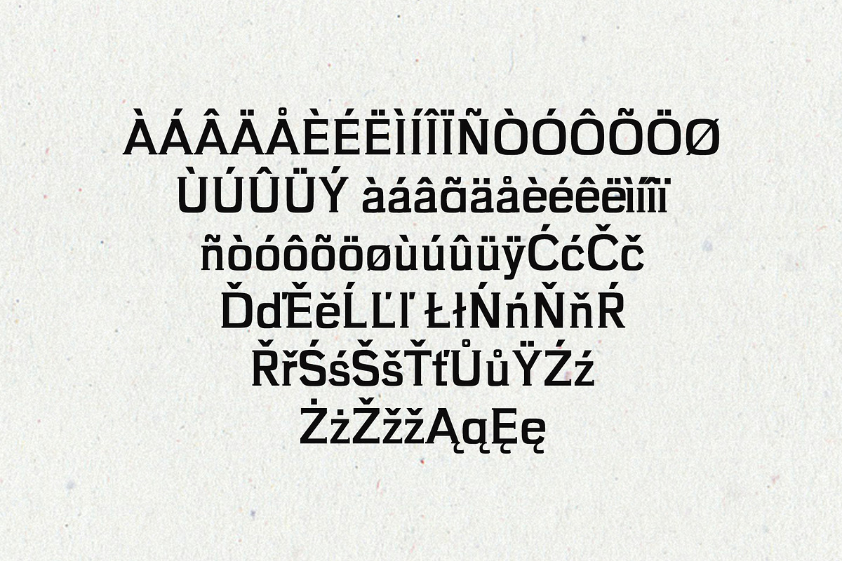 Brycen Serif Premium 7 Font Family preview 3