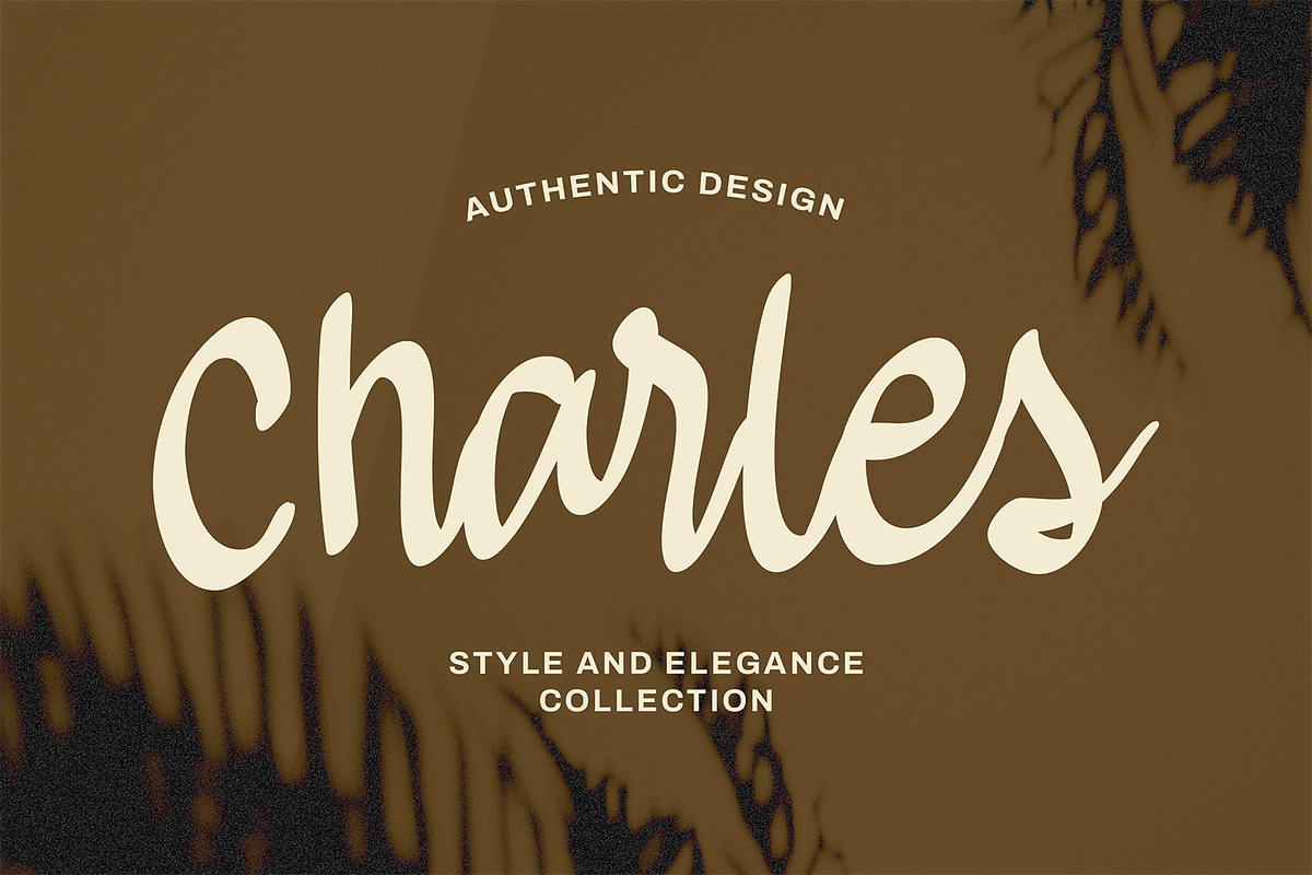 Brientsa Classic Script, a Handwritten Font by Portocraft (Photo 4 of 10)
