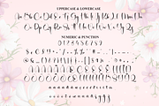 Beautiful | Script Font, a Handwritten Font by Scratchones (Thumbnail 7 of 9)