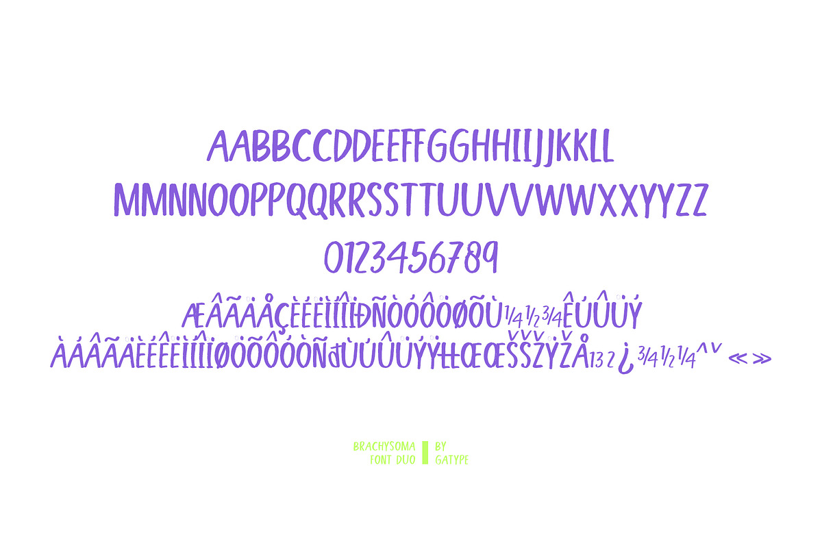 BrachysOma, a Handwritten Font by Gatype (Photo 12 of 12)