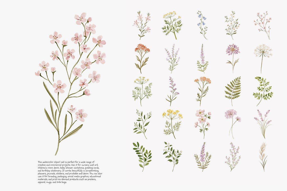 a wildflower meadow clipart set, a Decorative Illustration by Patishop Art (Photo 2 of 12)