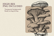 35 Mushrooms & Fungi–Engraved Vector, an Object Graphic by Gonez Studio (Thumbnail 11 of 13)