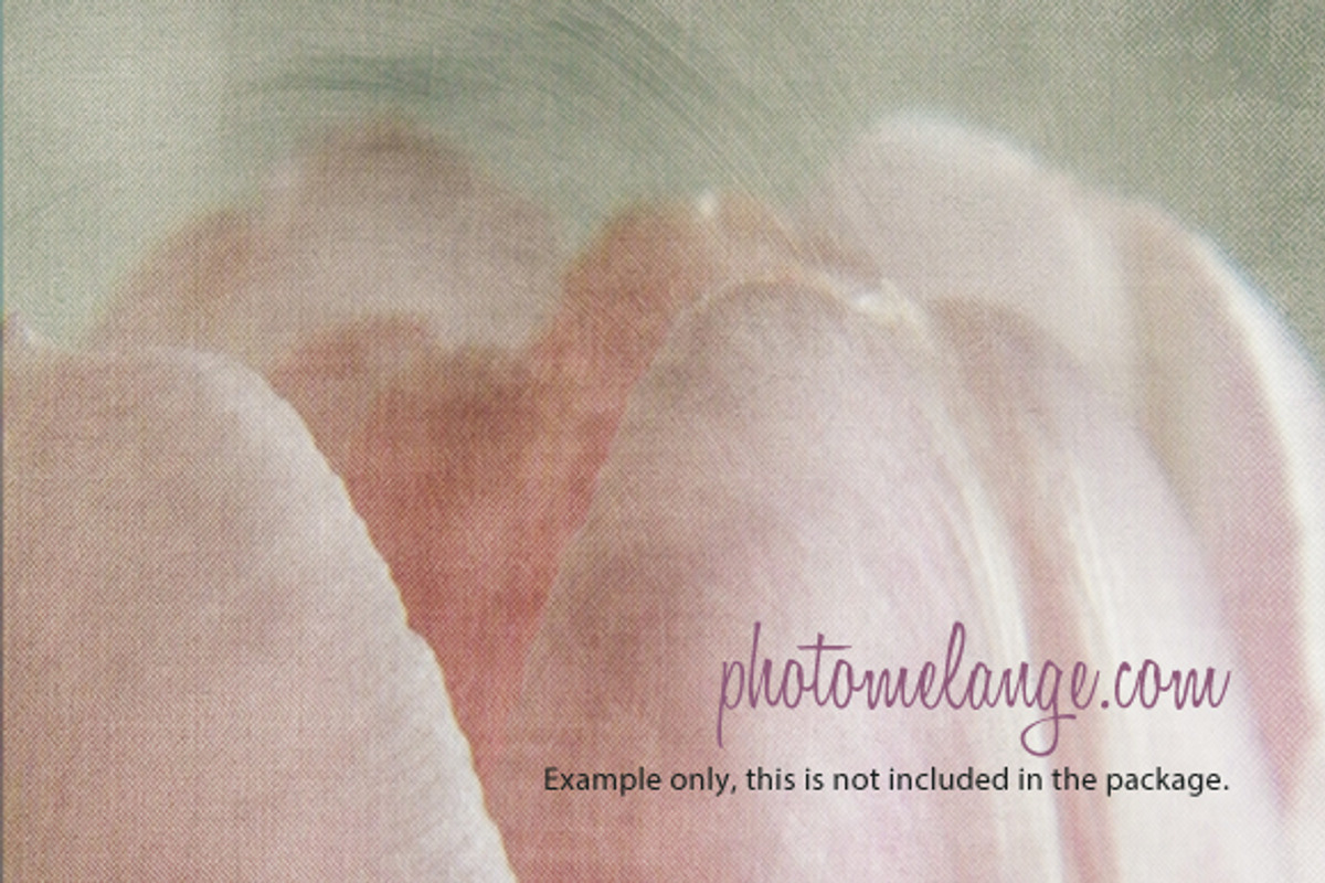 PhotoMelange Painted Canvas preview 6
