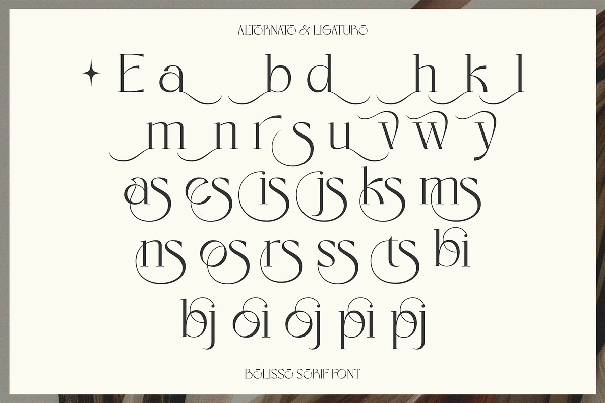 Eloires Elegant Stylish Serif Font, a Serif Font by Heinzel Std (Photo 9 of 11)